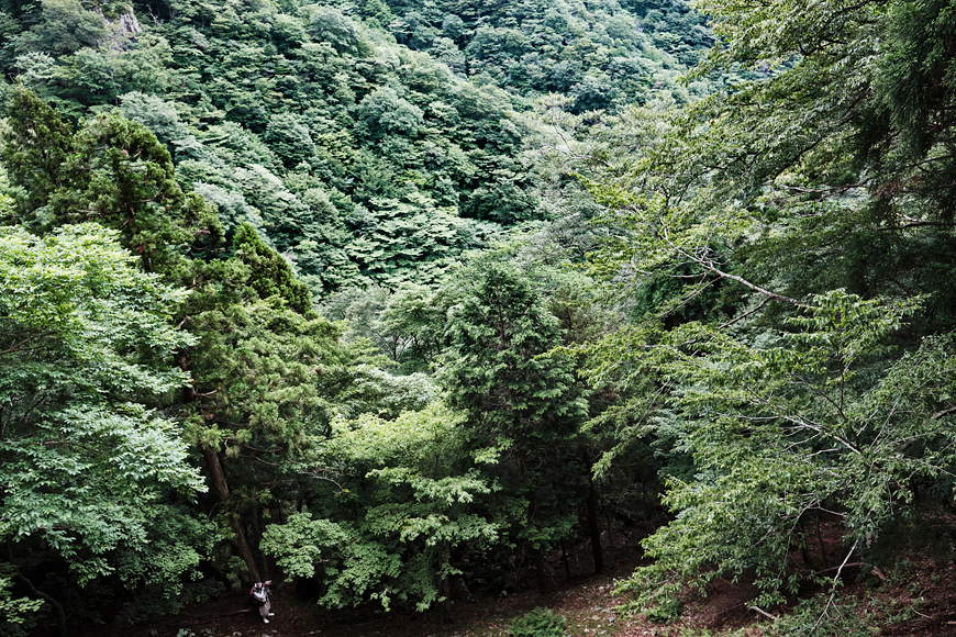f:id:banriman:20190710223641j:plain