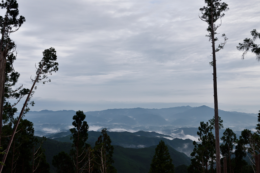 f:id:banriman:20190725194551j:plain