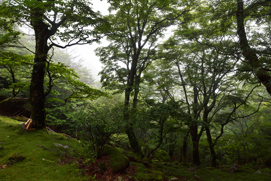 f:id:banriman:20190801122501j:plain