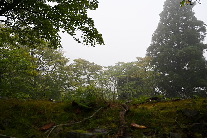 f:id:banriman:20190923195138j:plain
