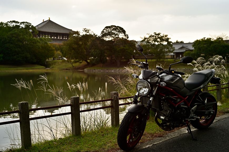 f:id:banriman:20191027202546j:plain