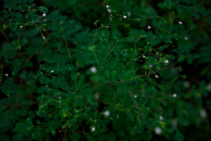 f:id:banriman:20200914115254j:plain