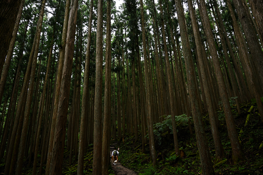 f:id:banriman:20200914115257j:plain