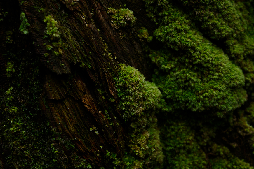 f:id:banriman:20200914115302j:plain