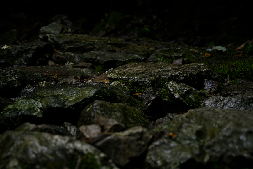 f:id:banriman:20200914115306j:plain