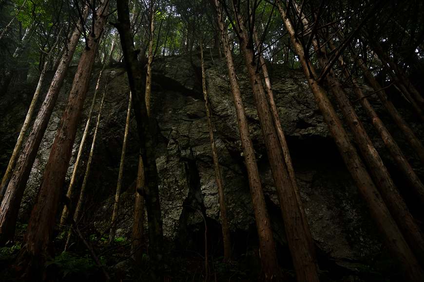 f:id:banriman:20200914115319j:plain