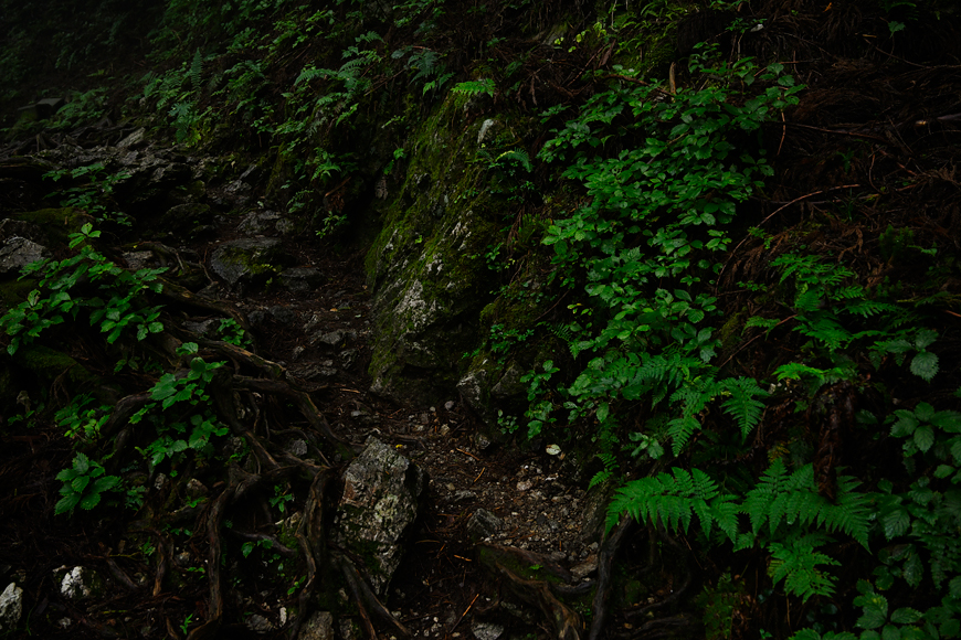 f:id:banriman:20200914115322j:plain