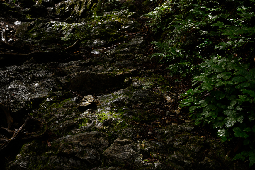 f:id:banriman:20200914115333j:plain