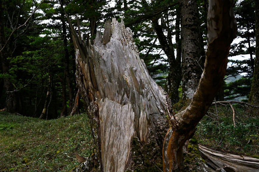 f:id:banriman:20200914115353j:plain