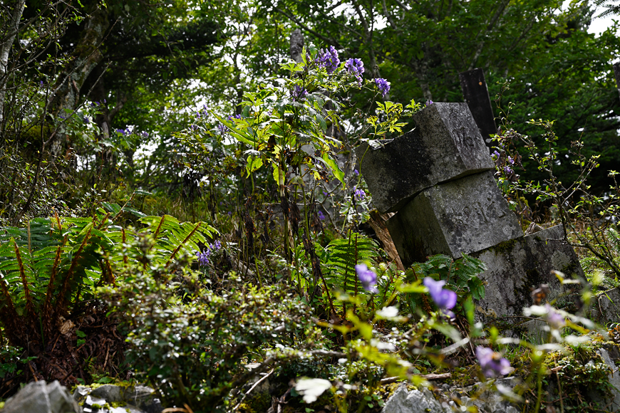 f:id:banriman:20200914115358j:plain