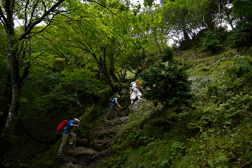 f:id:banriman:20200914115401j:plain