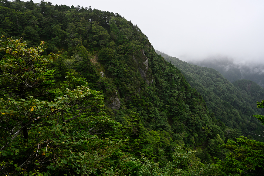 f:id:banriman:20200914115411j:plain