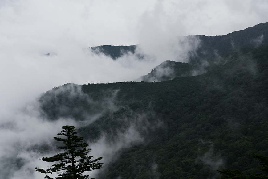 f:id:banriman:20200914115427j:plain