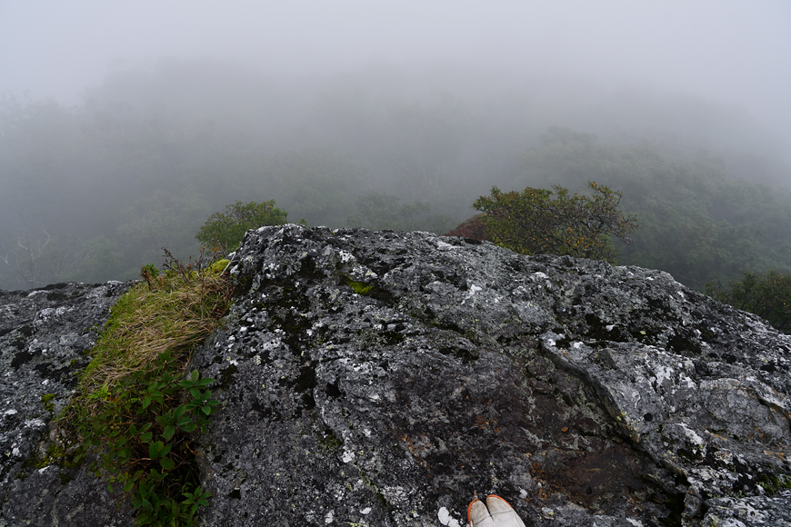 f:id:banriman:20200914115435j:plain