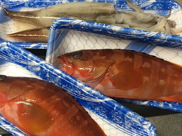 f:id:bansyakuko:20190915055715j:plain