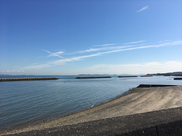 f:id:bansyakuko:20191109141926j:plain