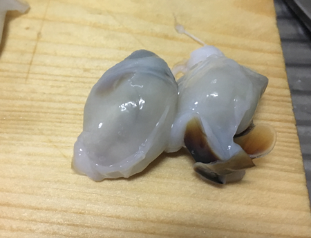 f:id:bansyakuko:20191110073751j:plain