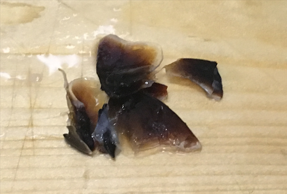 f:id:bansyakuko:20191110074359j:plain