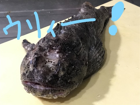 f:id:bansyakuko:20201026180427j:plain f:id:bansyakuko:20201026180427j:plain