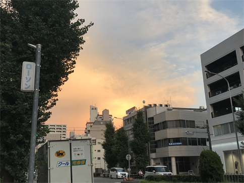 f:id:bansyakuko:20210727002522p:plain