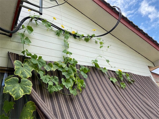 f:id:bantakusakabe:20210912092926j:image