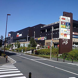 イメージ 6