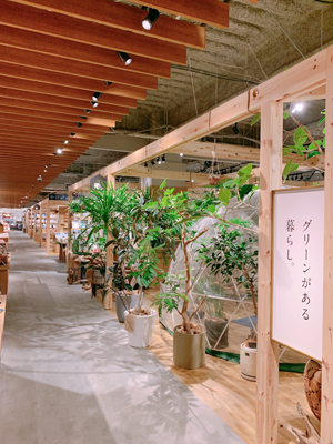 f:id:bantounoheya:20190906185954j:plain