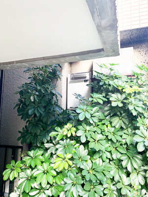 f:id:bantounoheya:20191213121935j:plain