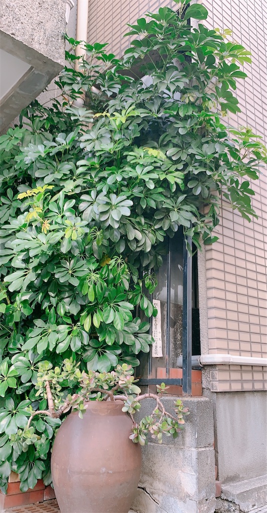 f:id:bantounoheya:20210418120947j:image f:id:bantounoheya:20210418120947j:image