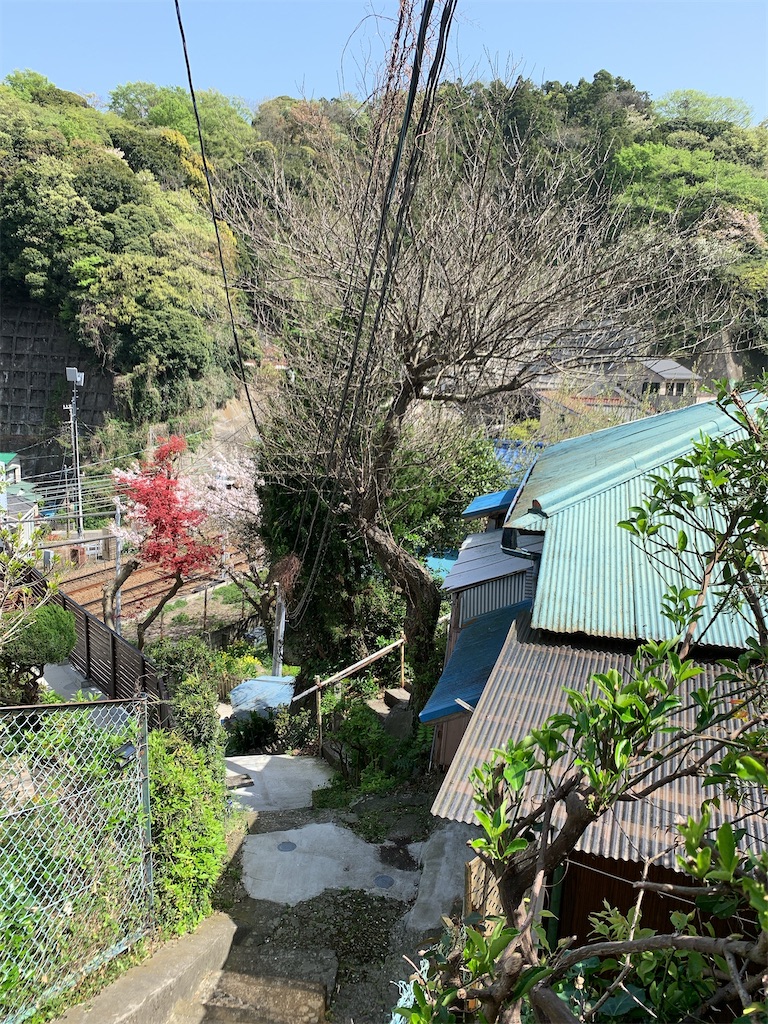 f:id:bantounoheya:20210513145620j:image f:id:bantounoheya:20210513145620j:image