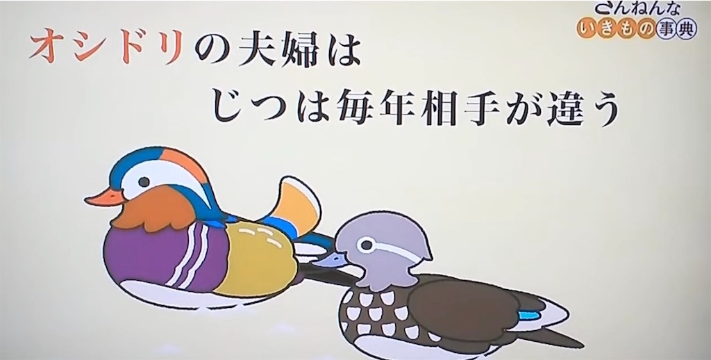 f:id:bantounoheya:20220825114416j:image f:id:bantounoheya:20220825114416j:image
