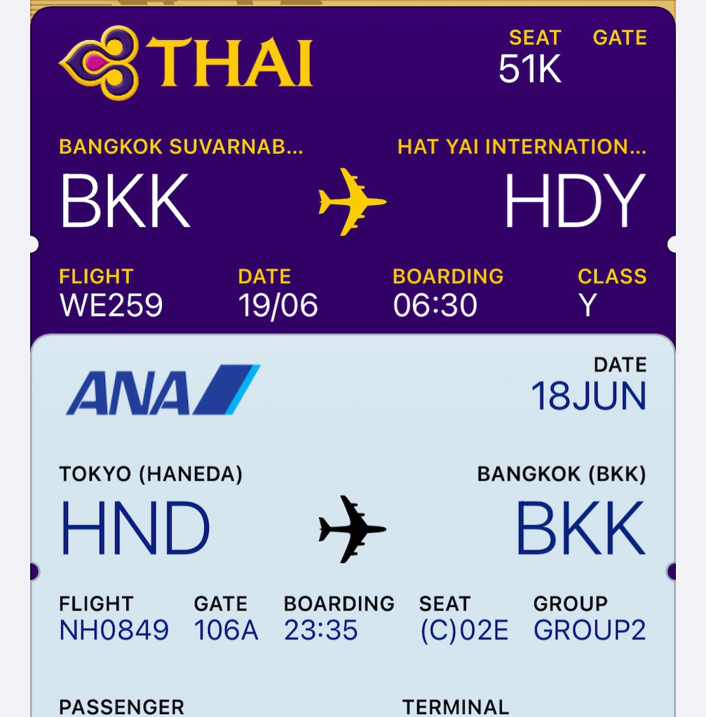 f:id:bantounoheya:20230619161047j:image