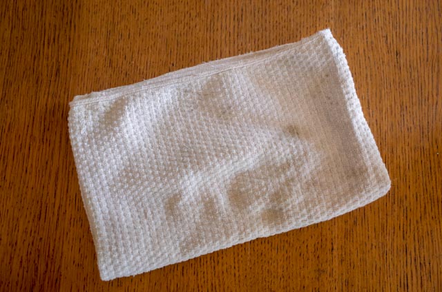 f:id:banzainuigurumi:20190114135853j:plain f:id:banzainuigurumi:20190114135853j:plain
