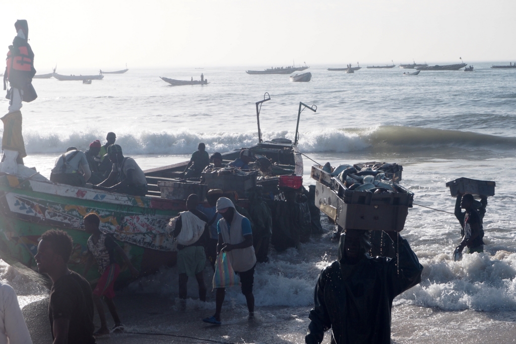 f:id:baobab-no-ki:20161208222054j:plain