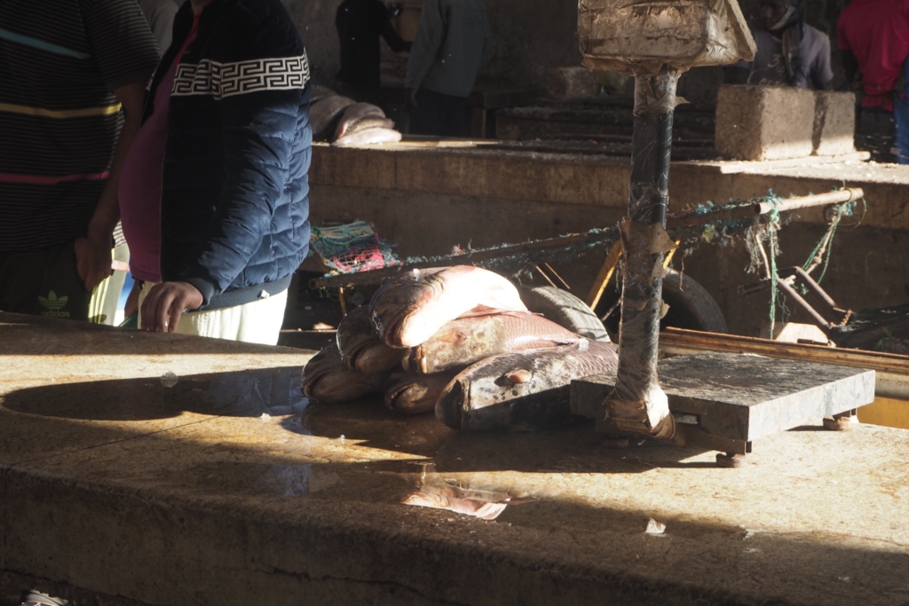 f:id:baobab-no-ki:20161208223039j:plain