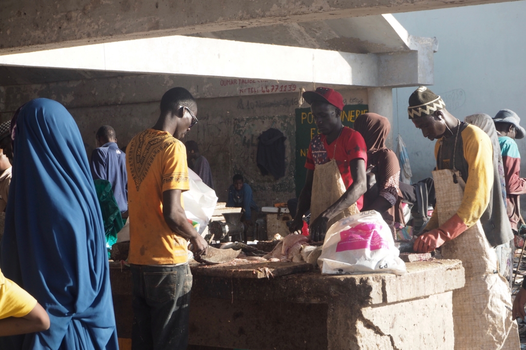 f:id:baobab-no-ki:20161208223320j:plain