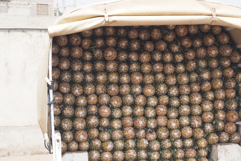 f:id:baobab-no-ki:20170207041024j:plain