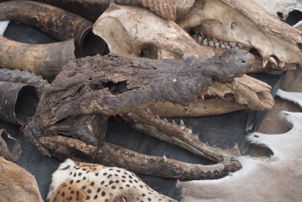 f:id:baobab-no-ki:20170207041046j:plain