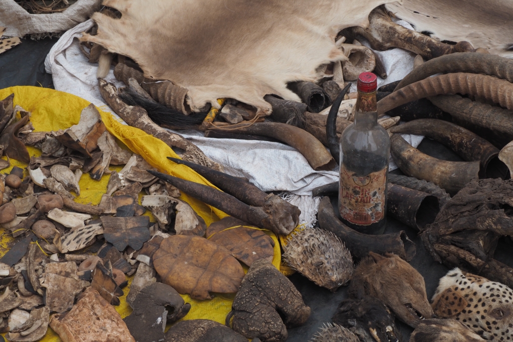 f:id:baobab-no-ki:20170207041116j:plain