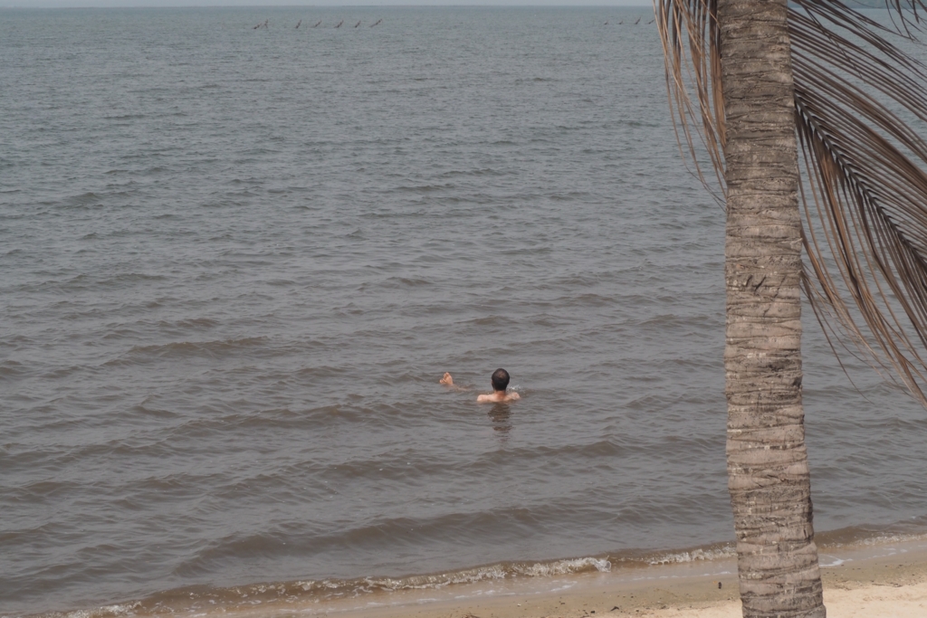 f:id:baobab-no-ki:20170207041304j:plain