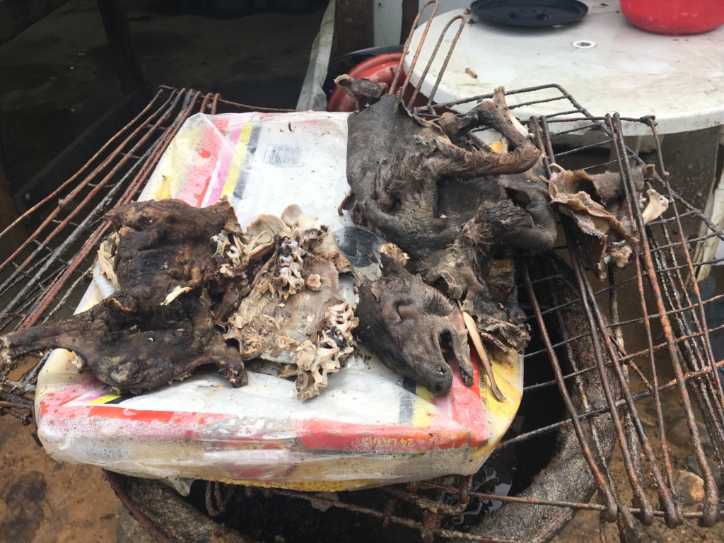 f:id:baobab-no-ki:20170323224918j:plain