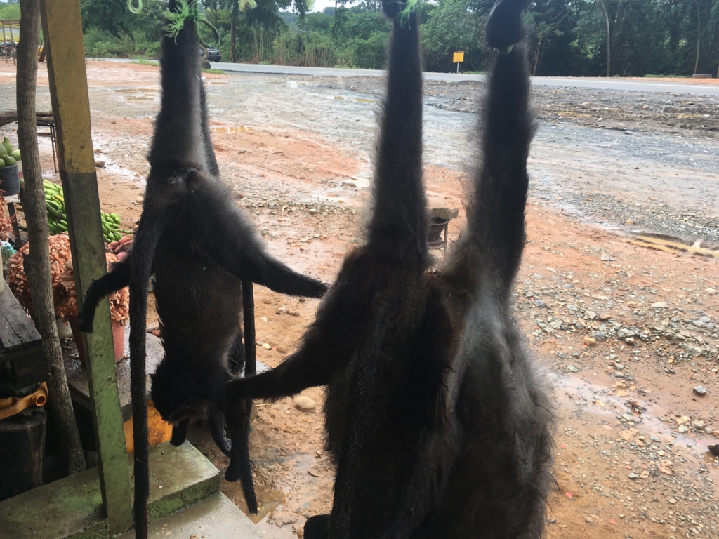 f:id:baobab-no-ki:20170323225045j:plain