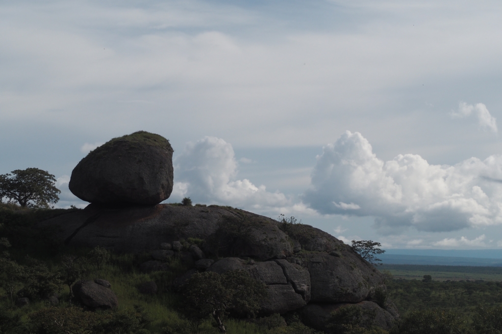 f:id:baobab-no-ki:20170323225157j:plain