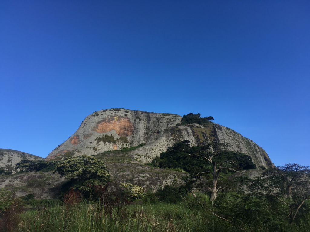 f:id:baobab-no-ki:20170323225235j:plain