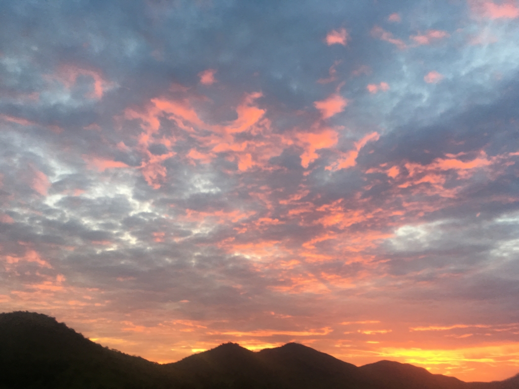 f:id:baobab-no-ki:20170323225518j:plain