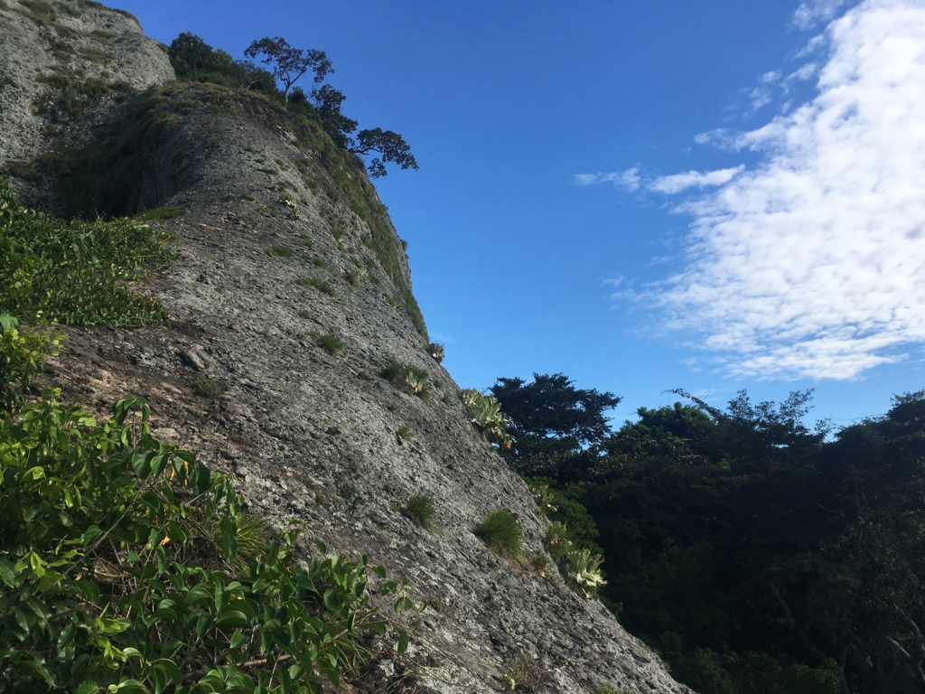 f:id:baobab-no-ki:20170323225550j:plain