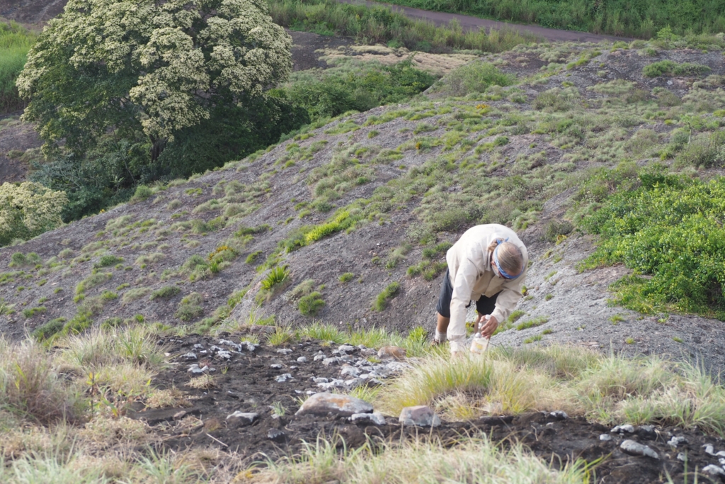 f:id:baobab-no-ki:20170323225834j:plain