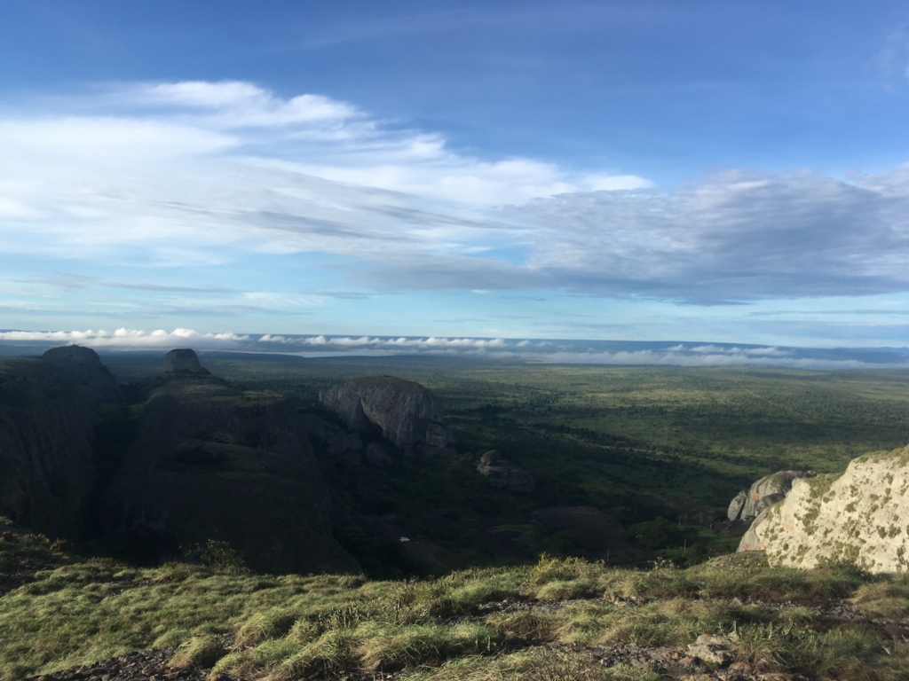 f:id:baobab-no-ki:20170323230046j:plain