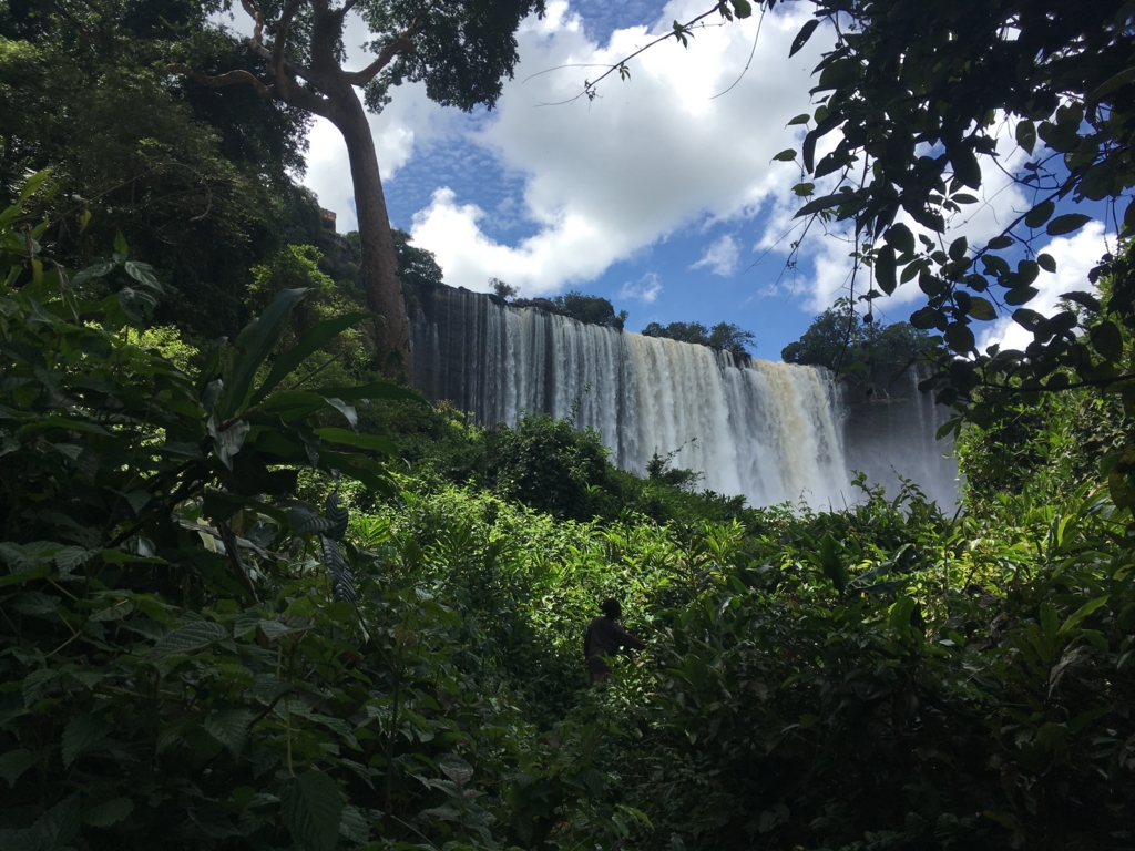 f:id:baobab-no-ki:20170323230154j:plain