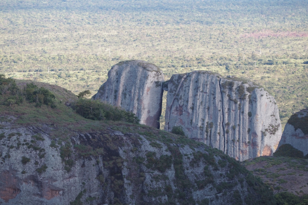 f:id:baobab-no-ki:20170323230225j:plain